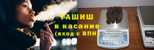 apvp Алзамай